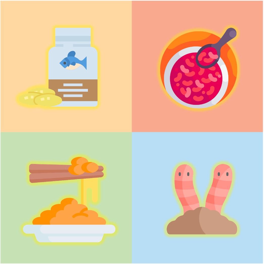 秋冬保健食品推薦納豆激脢蚓激脢魚油紅麴